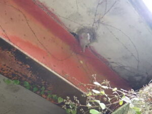 橋梁 排水 伝い水 漏水 飛沫水 状況 施工前