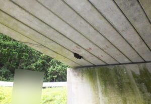 橋梁 排水用 SGP 鋼管 の 腐食 漏水 状況 施工前　