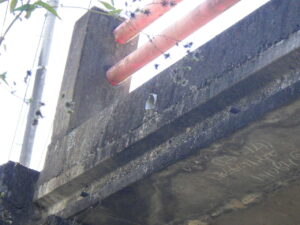 橋梁 排水 破損 伝い水 漏水 飛沫水 状況 施工前　