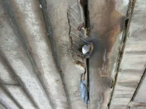 橋梁 排水 伝い水 漏水 飛沫水 状況 施工前