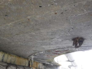 橋梁 排水用 SGP 鋼管 の 腐食 漏水 状況 施工前