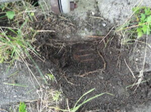 橋梁の既設排水装置の排水桝の腐食、詰まりの写真