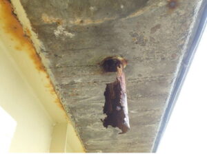 橋梁の既設排水装置の腐食、破損の写真