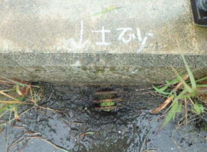 橋梁の既設排水装置の腐食、の写真