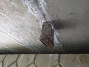 橋梁の既設排水装置の腐食、漏水、伝い水の写真