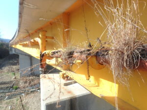 橋梁の既設排水装置SGPの腐食、破損、孔開き、詰まりの写真
