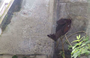 橋梁の既設排水装置の腐食、孔開きの写真