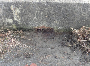 橋梁の既設排水装置の腐食、孔開きの写真