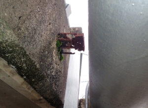 橋梁の既設排水装置の腐食、孔開きの写真