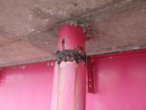 橋梁の既設排水装置の腐食の写真
