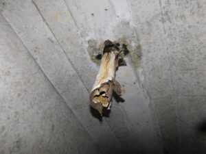 橋梁の既設排水装置の腐食、漏水、破損、伝い水の写真