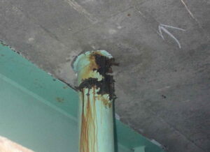 橋梁の既設排水装置の腐食、孔開きの写真