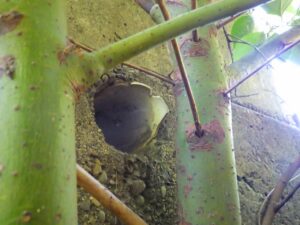 既設塩ビ管破損