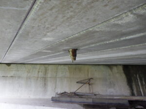 橋梁の既設排水装置の腐食、孔開きの写真