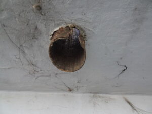 橋梁の既設排水装置の腐食、孔開きの写真