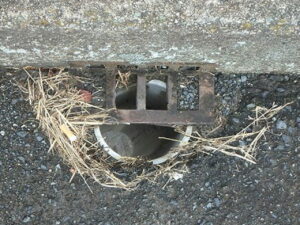 橋梁の既設排水装置の腐食の写真